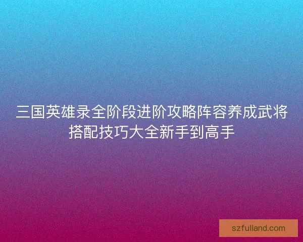 三国英雄录全阶段进阶攻略阵容养成武将搭配技巧大全新手到高手
